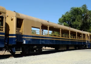 Sierra Northern River Fox Train - Pohono