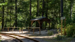 Train station in forest with small shelter
