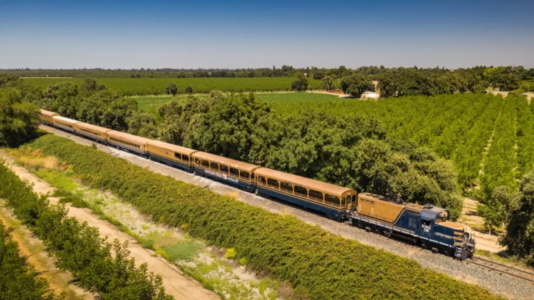 Passenger train running through orchard